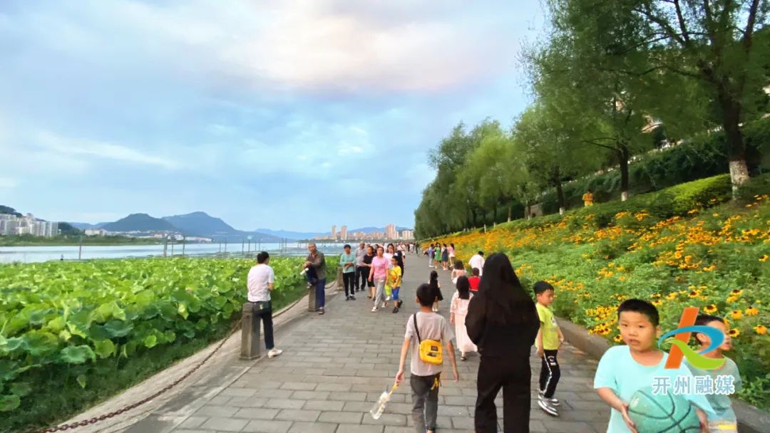 ‘best365官网登录入口’滨湖公园的花海好美，趁着好天气快去拍照吧！(图2)