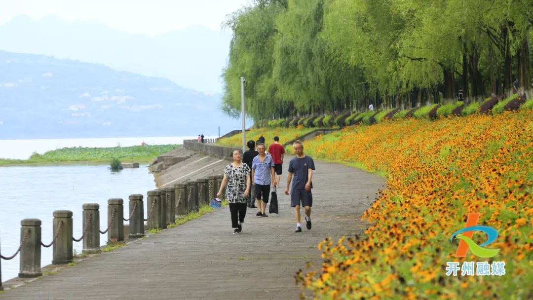 快看！汉丰湖彩色花海绵延十里……|雷火电竞在线登录官网(图1)