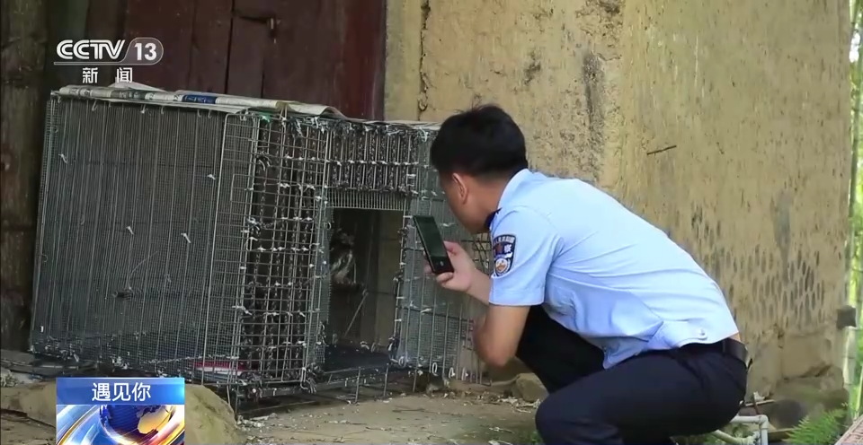 就在开州！这个猫头鹰幼儿园有个超级奶爸！【半岛官方下载地址】(图11)