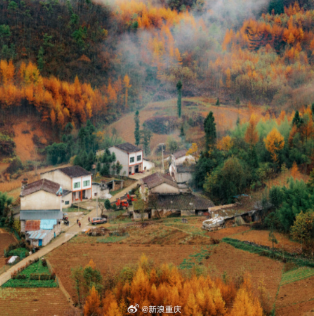 秋日出游推荐丨满月镇彩林上线，共赴一场秋天的盛宴！：Kaiyun官方网站