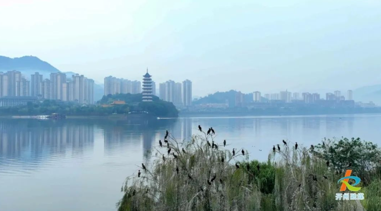 a2c25668c9f7d39bdc5125af241c0b6.png