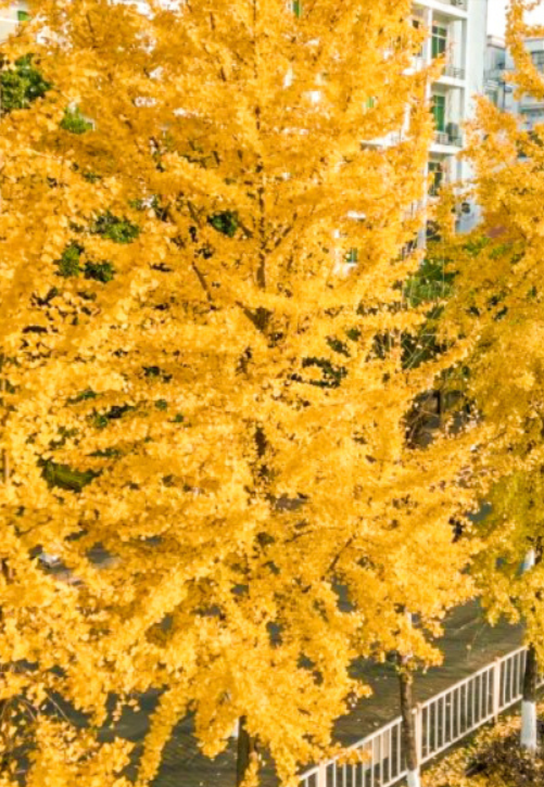 5d91303b2ece1d0a86b7e3f87192cc3.png