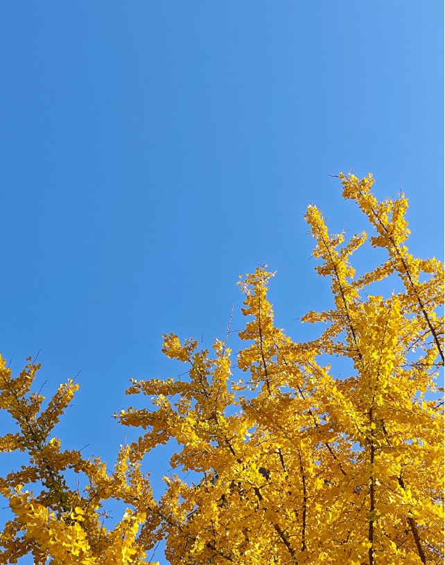 03c7dc3963b28eaeb566e200c27d789.png