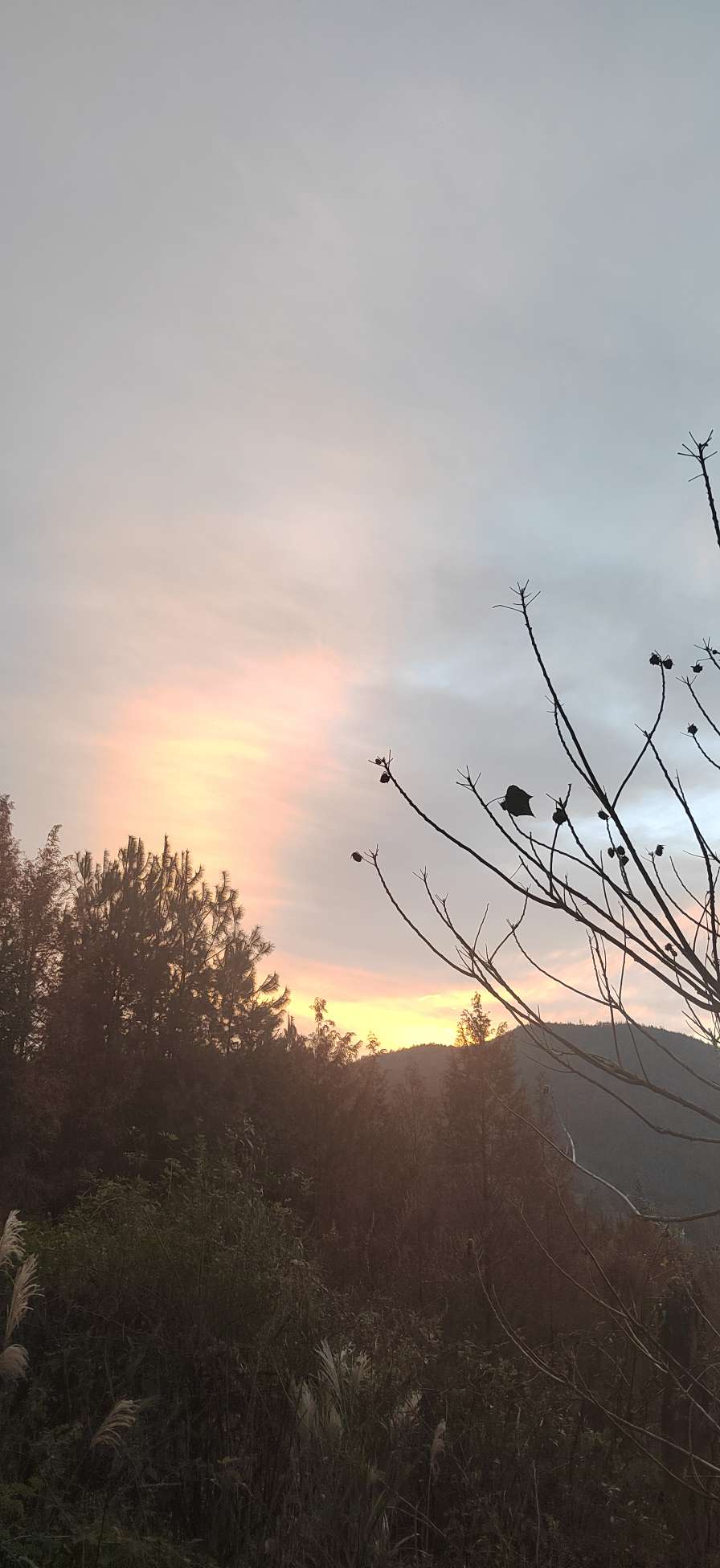 20231209074007front2_0_5669_FvUvP7ewO-0iuH8tv3zPgMOGWSeF.jpg