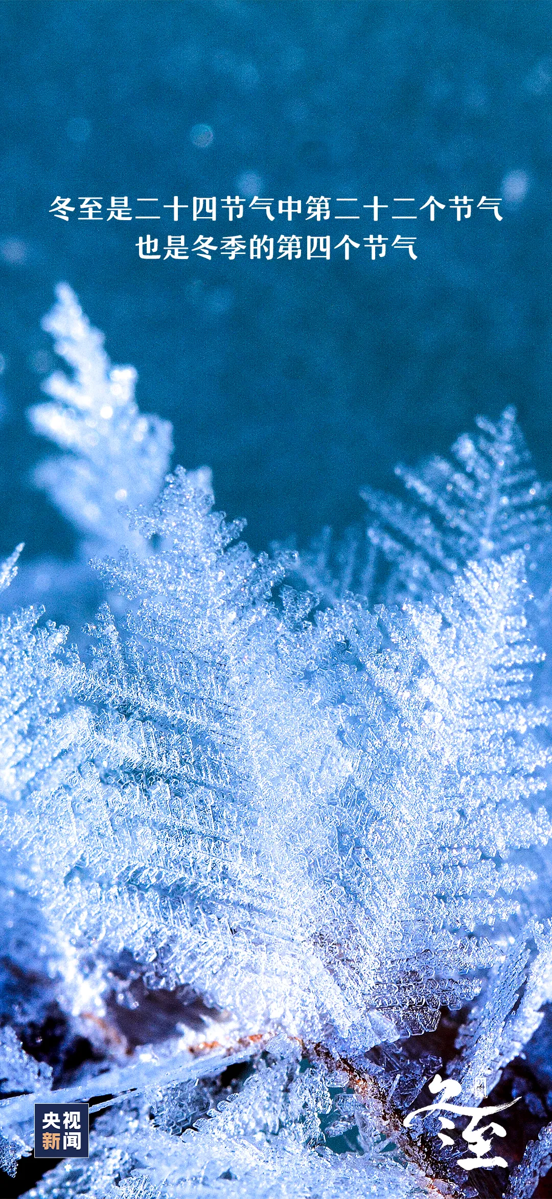 20231222115100front2_0_93191_nrrA2yMjESif68ekVIhQv1CL_uSX.png