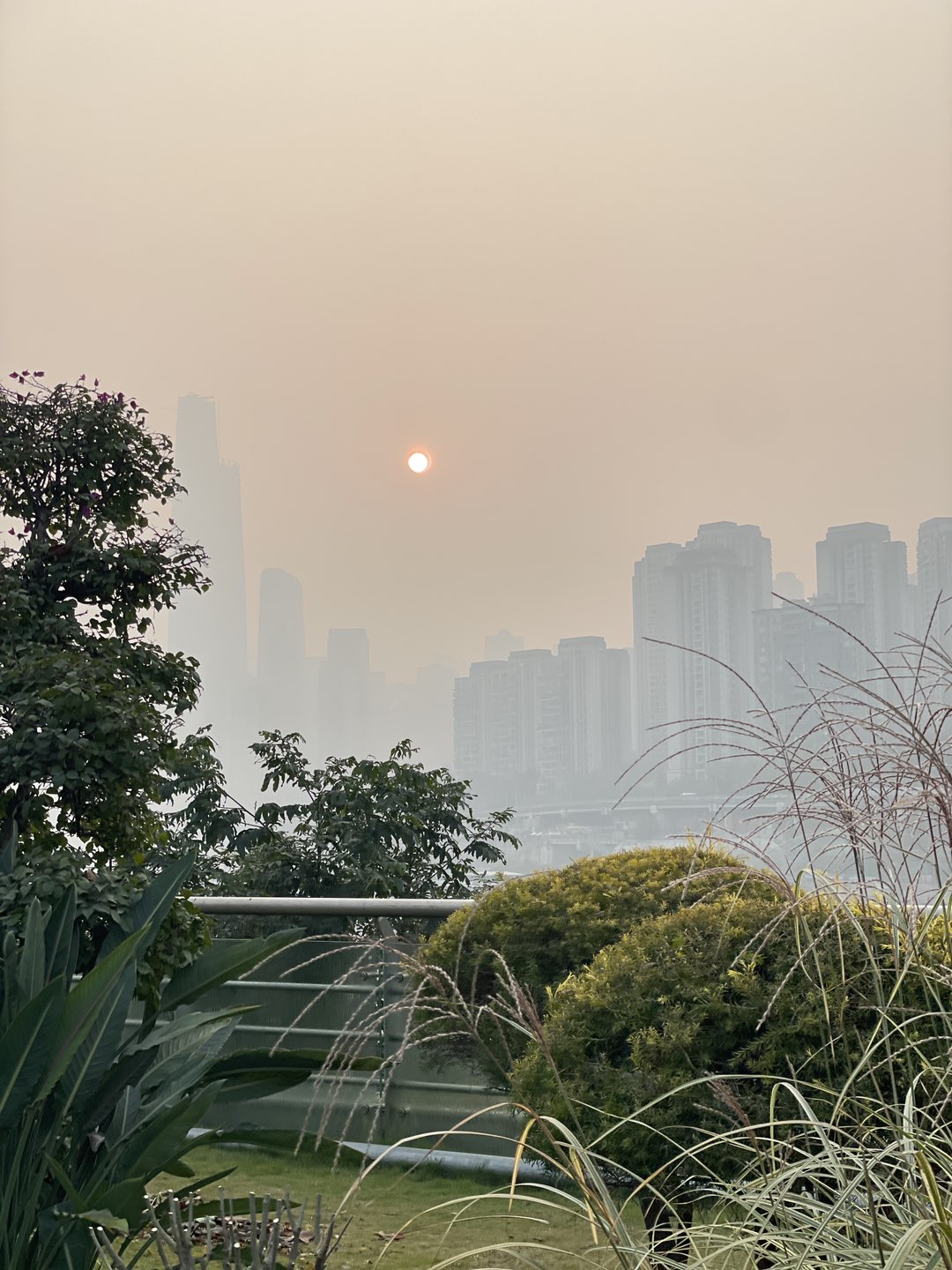 20231227100847front1_0_297_FocATkACLbxgUk_tubJngE9Y-lwJ.jpg