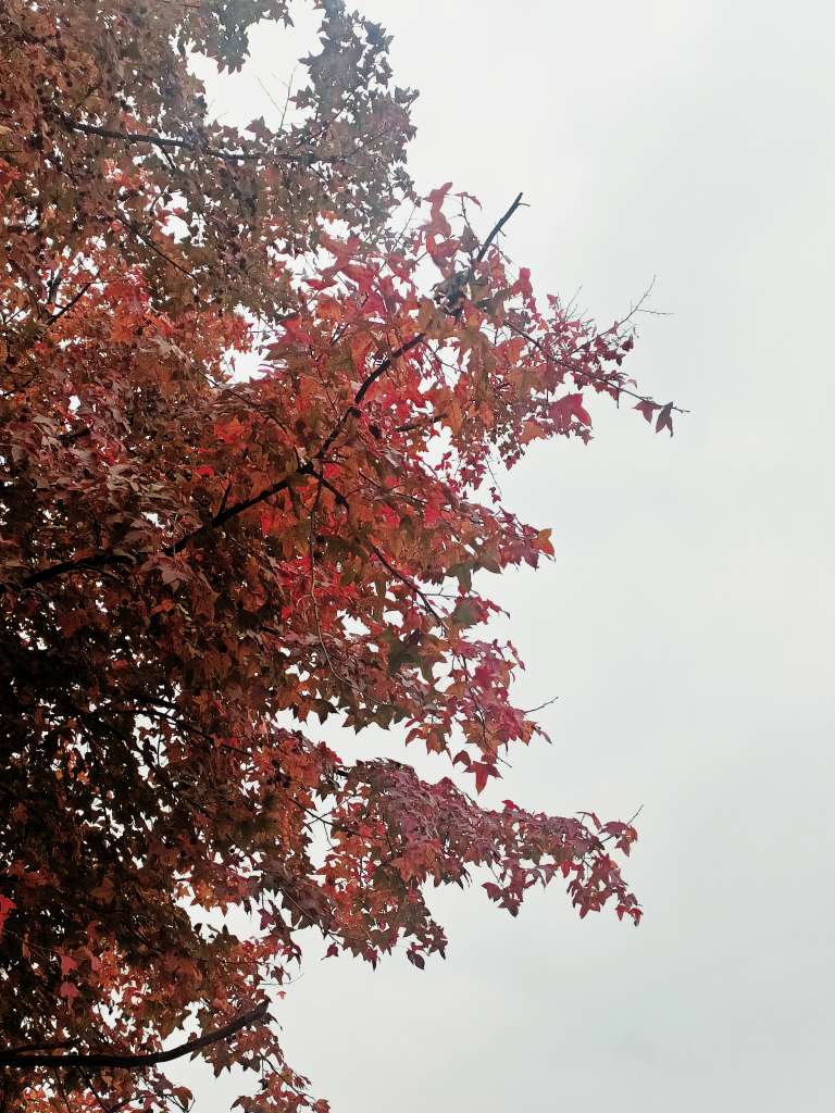 20231228065942front2_0_112484_FjdaFu62RnMvsIiWnb6S8QNzaPz3.jpg