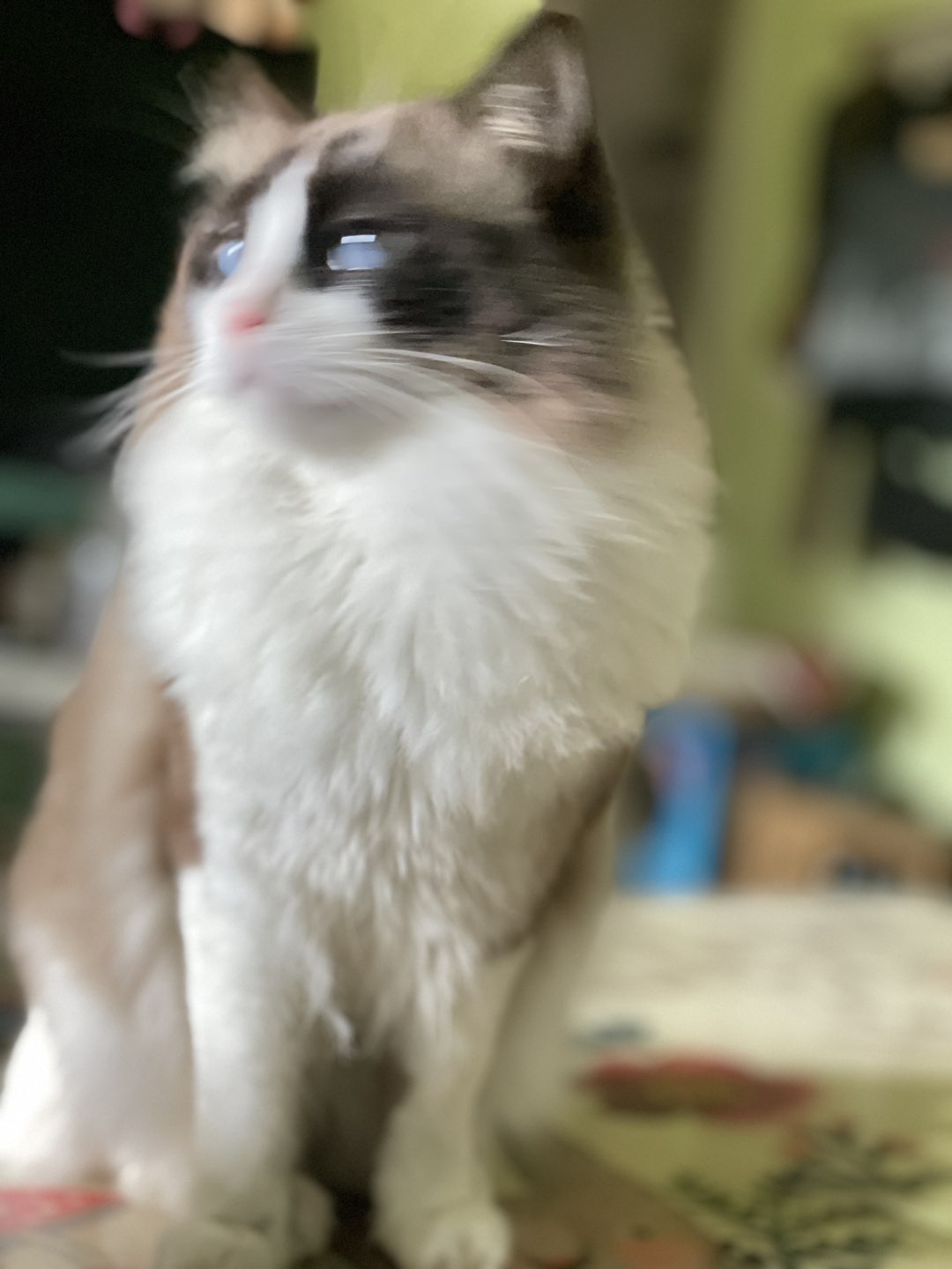 20240301095803front1_0_297_FtMvBQ8o3OkmWgrGfTVb7FOJU3dL.jpg