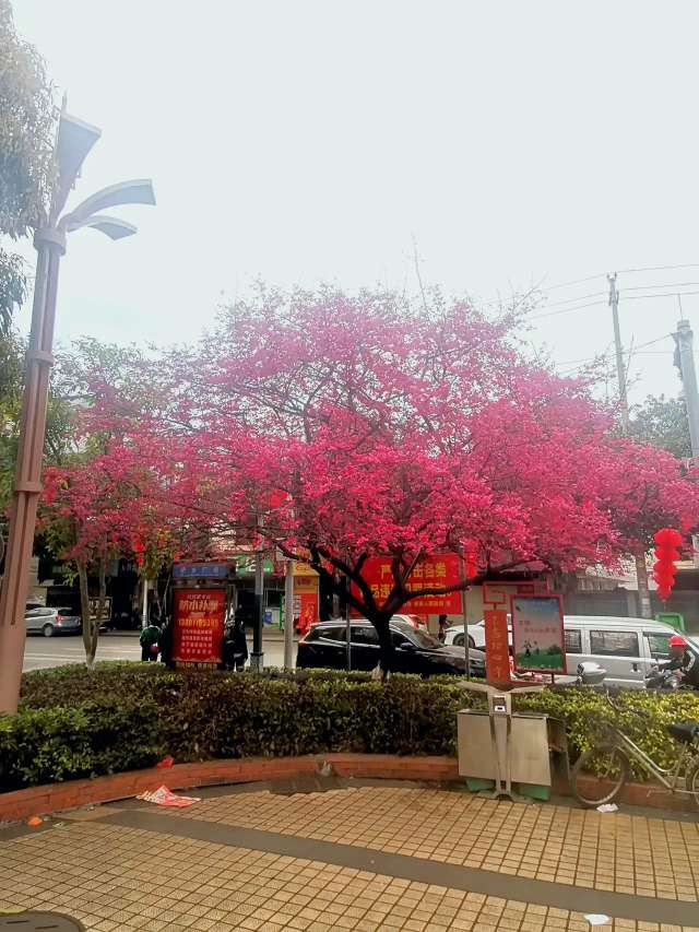20240313193619front2_0_108106_Ft1TUzi57GBxAi_rNx_FxA0PPSHS.jpg