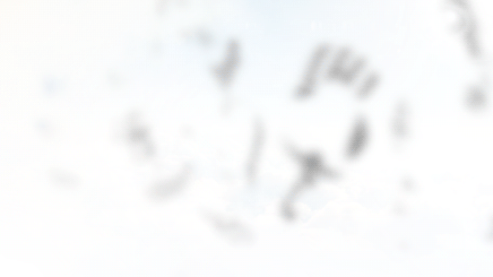 20240519211052front2_0_93191_FjpZnrefmZFwgVd_Gowuxgajayru.jpg
