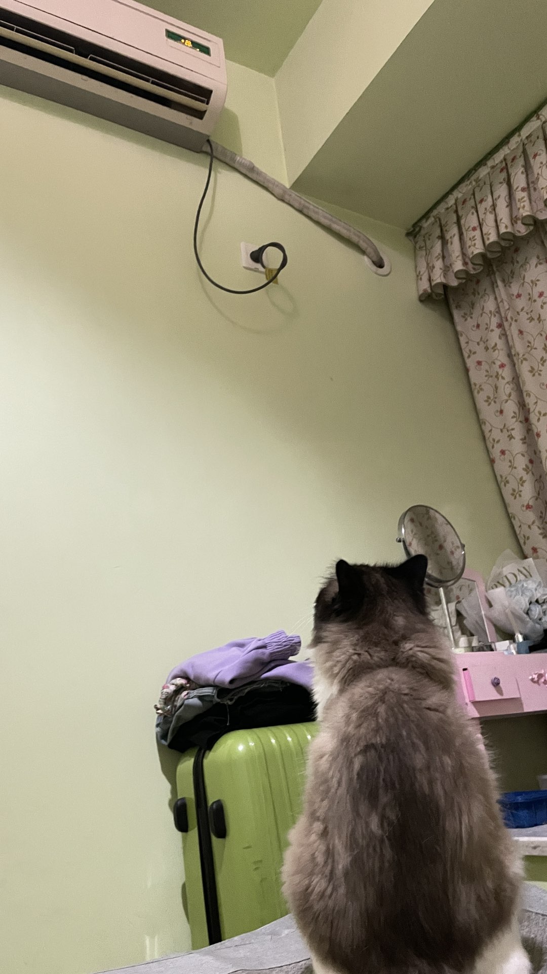 20240525233612front1_0_297_Fo-Tknu0A80f3zBDrHlVVkFQ_kHc.jpg