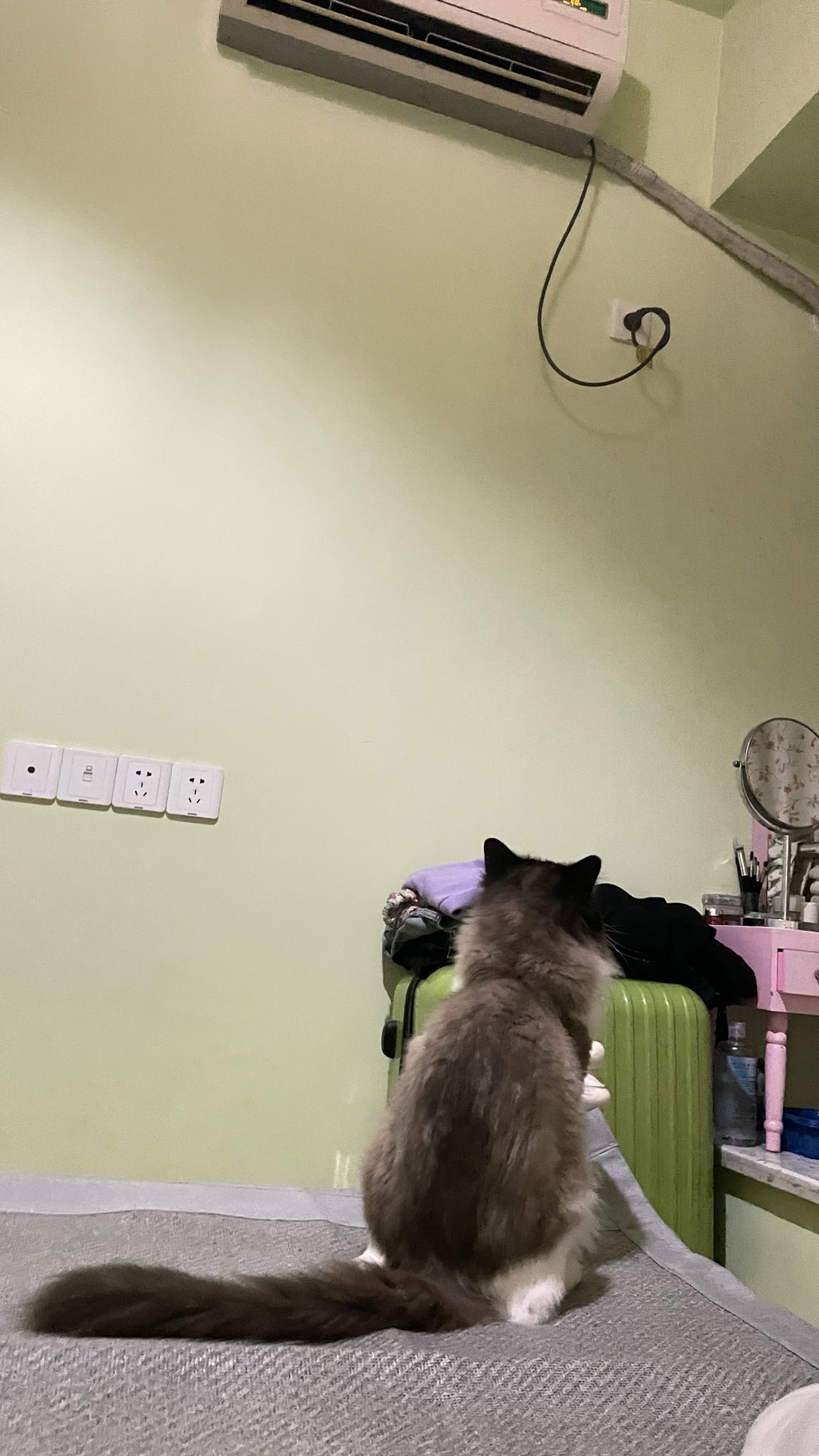 20240525233612front1_0_297_Fsi6JcBRqQDkfvnyxwnNFJgDSno6.jpg
