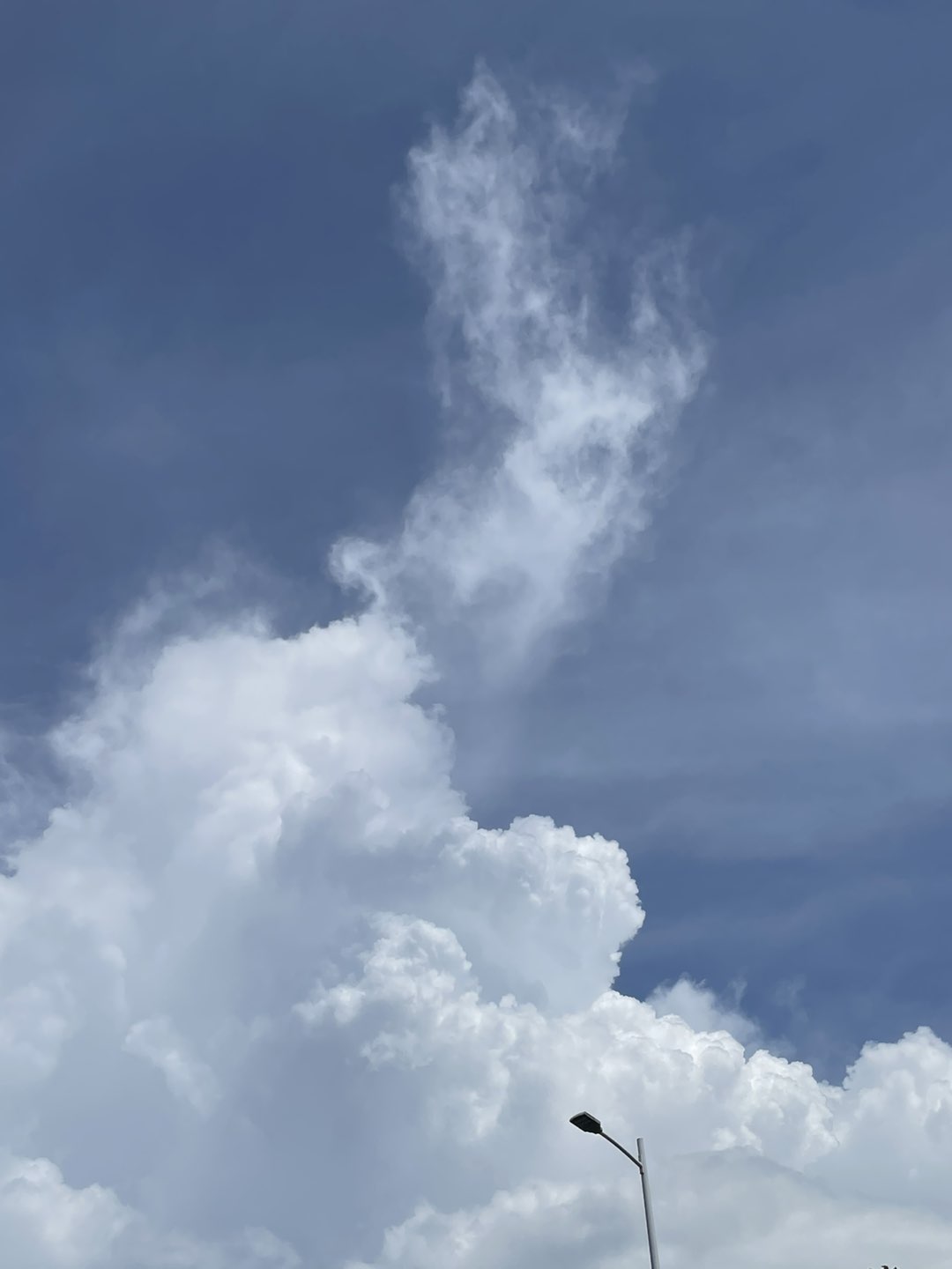 20240622235158front1_0_2004_Fmle3ZR1yrBKZDS5awUYXJFQs9IA.jpg