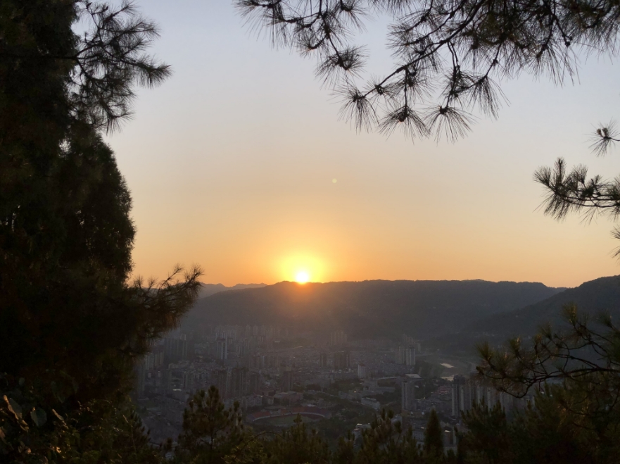 微信截图_20240730160520.png