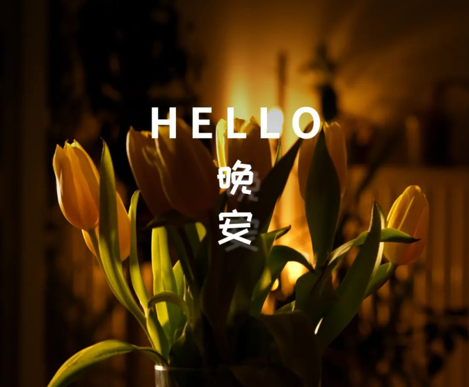 20240730222054front2_0_32059_FsfWXnzTDjOfYyEOAaB04j4v3r8U.png
