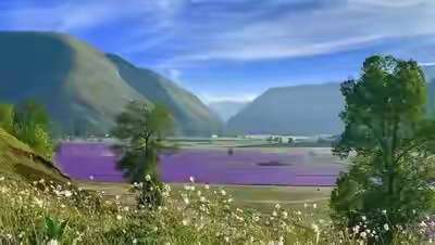 20240731224451front2_0_108106_Fq6xeFE01rDWB5cf1KeXgPLI0Nbc.jpg