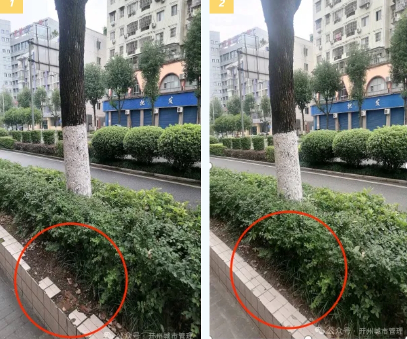 微信截图_20240802142423.png