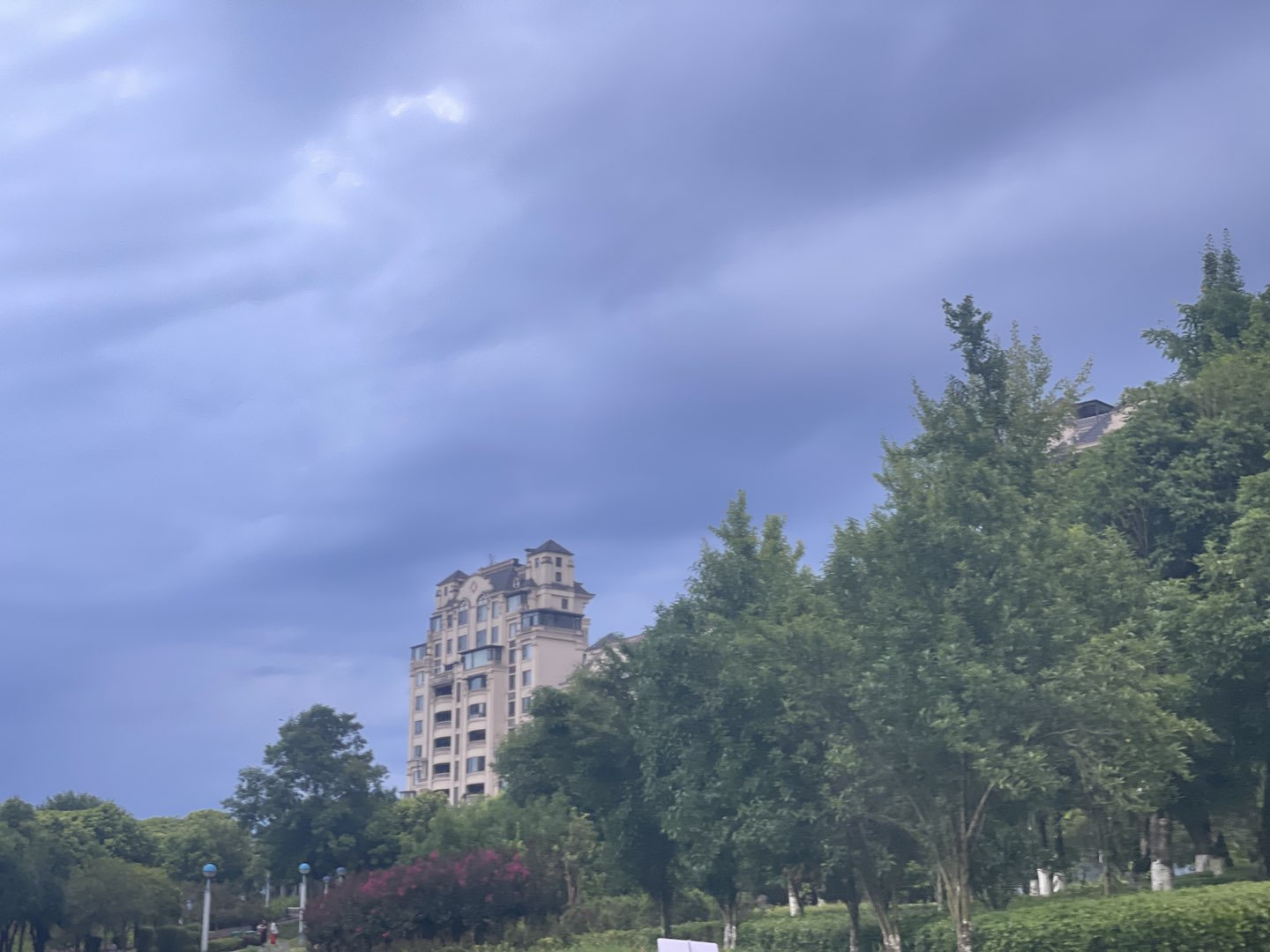 20240805081604front1_0_297_FkCqDk2buQCjtXZAm3jdQ8WXCJvD.jpg