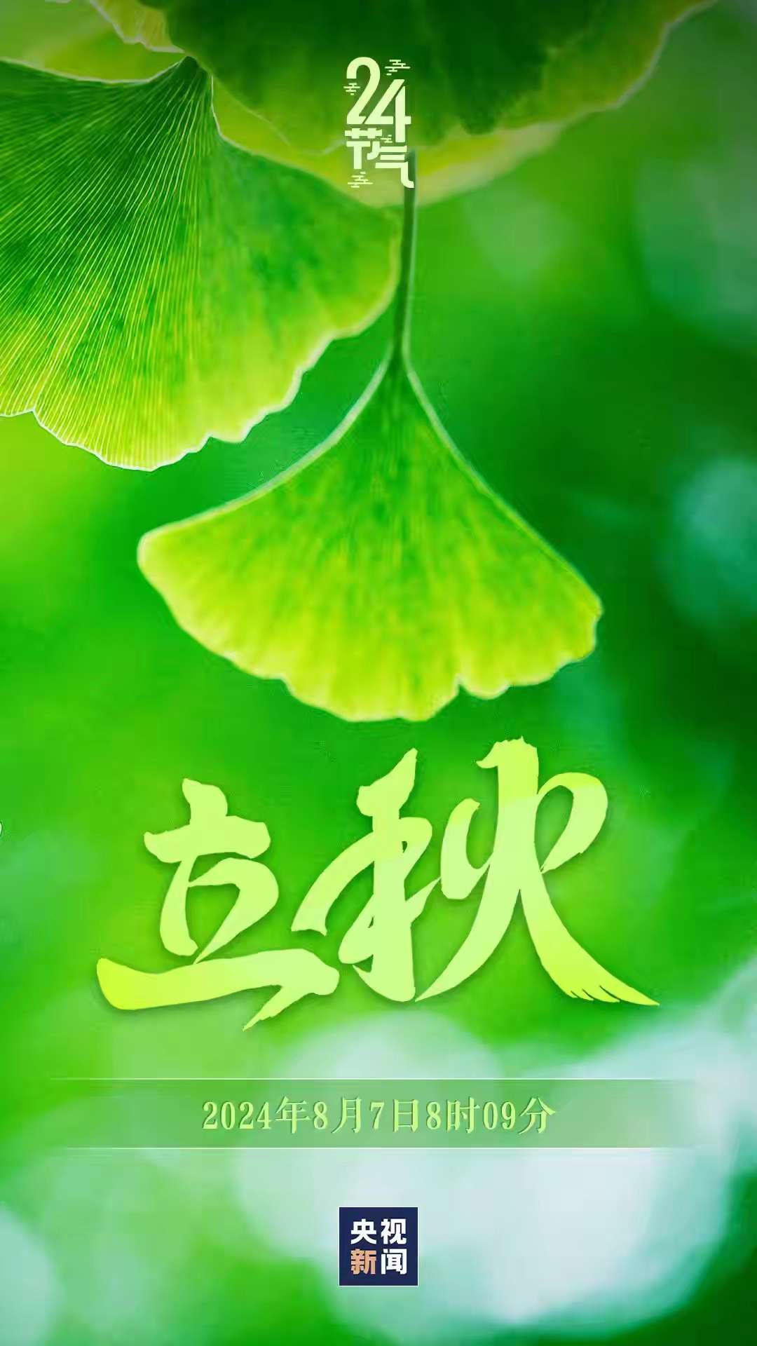 20240807135458front2_0_93191_FtRWz0S9TyyiFiolsfGq8oiGerB-.jpg