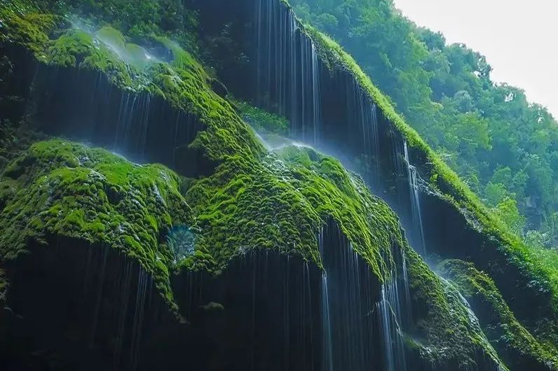 微信图片_20240826092045.png