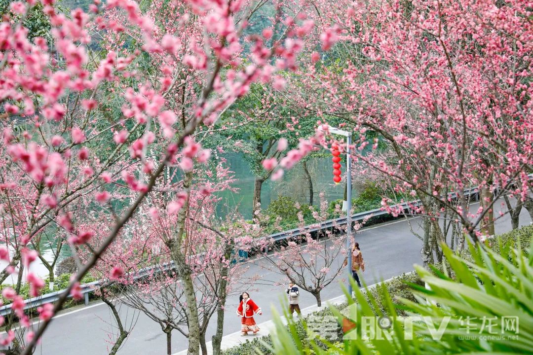 微信图片_20250213170013.jpg