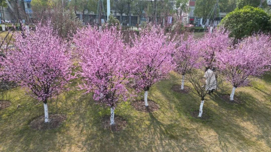微信图片_20250214100038.jpg
