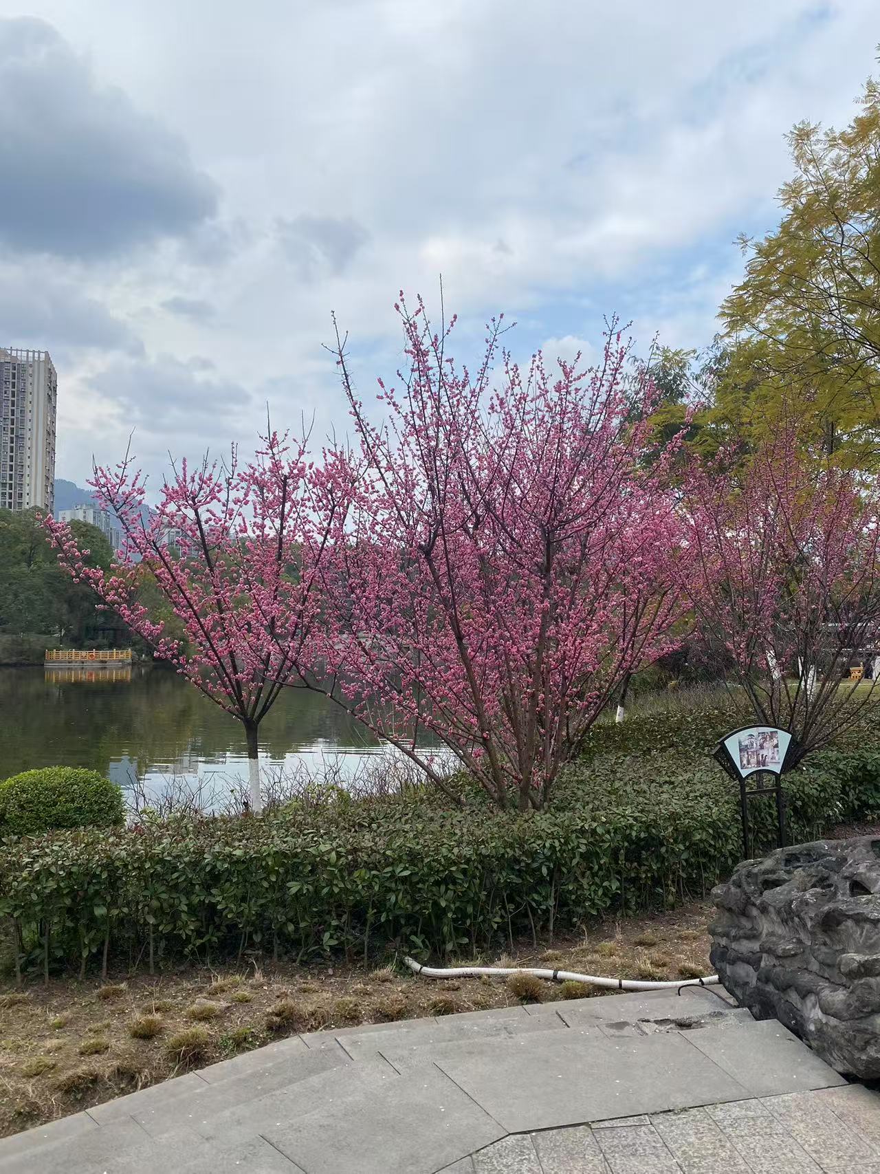 微信图片_20250217160505.jpg