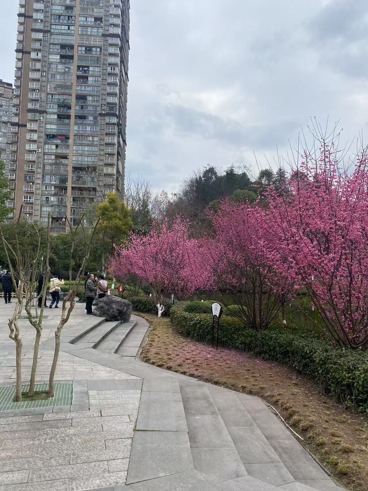 微信图片_20250217160520.jpg