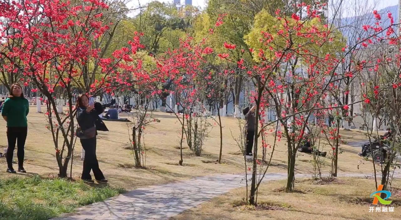 微信图片_20250307084042.jpg
