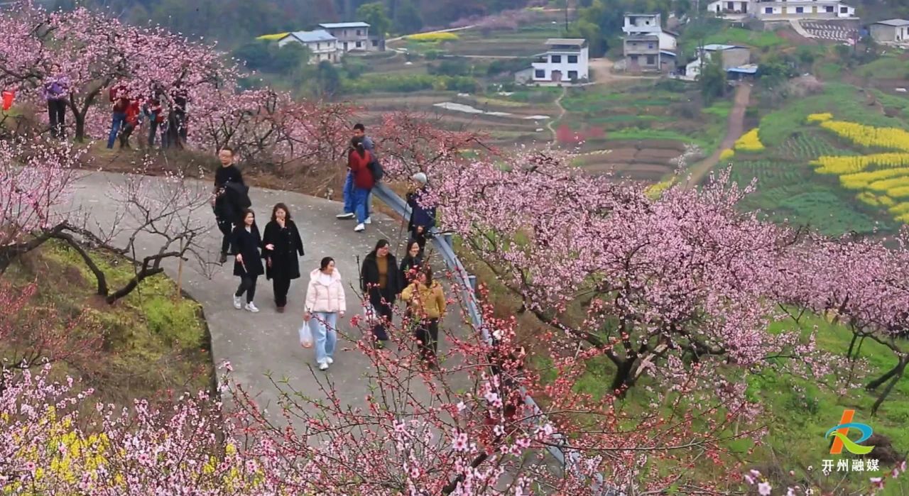 微信图片_20250314111548.jpg