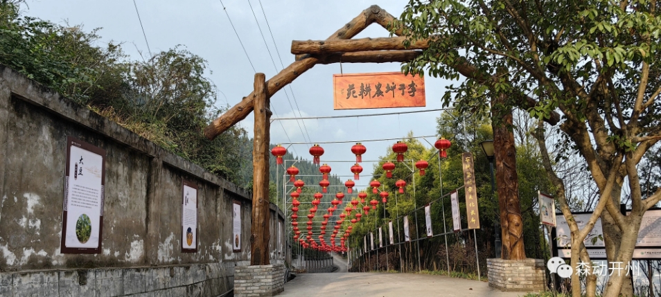 微信截图_20250401091822.png