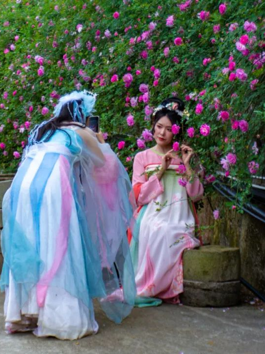 微信图片_20250408092737.png