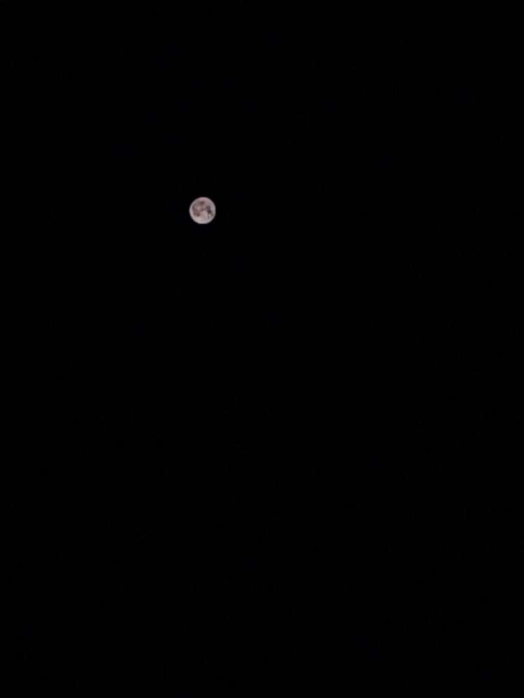 20250414114454front2_0_112559_FtEPrCkX5I_5cfI_PF15Ba6c2ALr.jpg