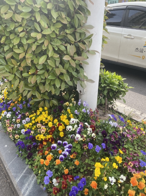 微信截图_20250416160808.png