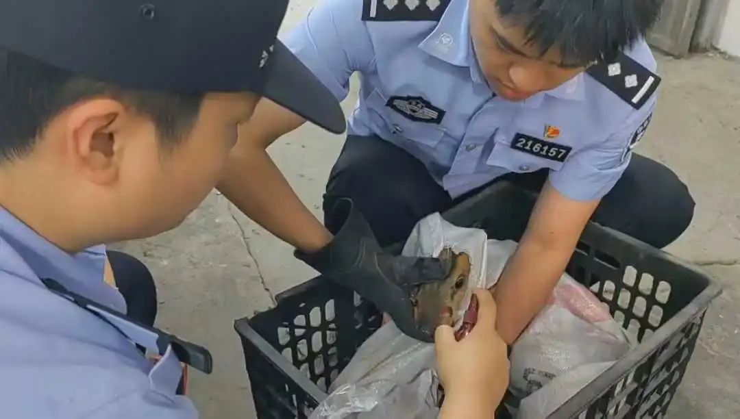 微信图片_20250505142522.jpg