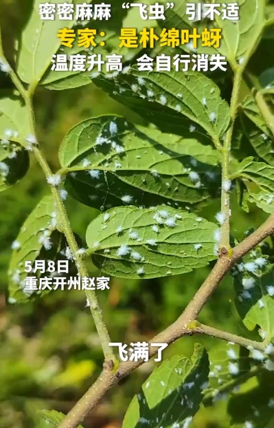 微信截图_20250510091154.png