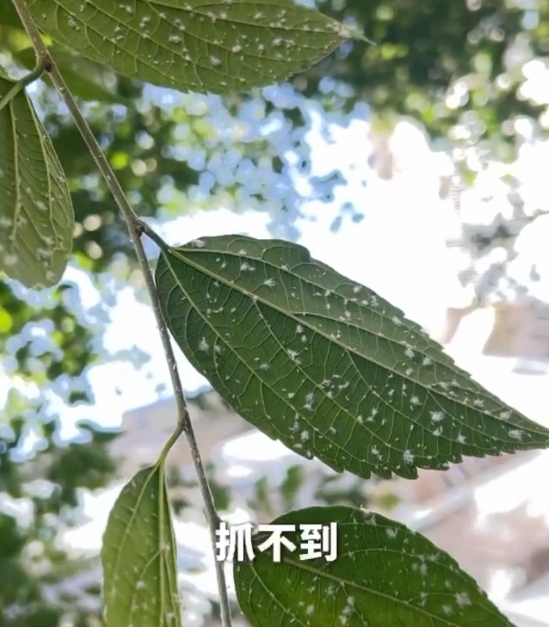 微信截图_20250510091142.png