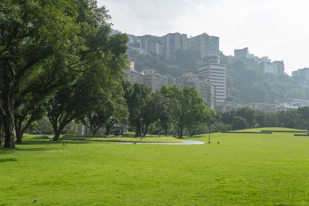 微信图片_20250510174930.jpg
