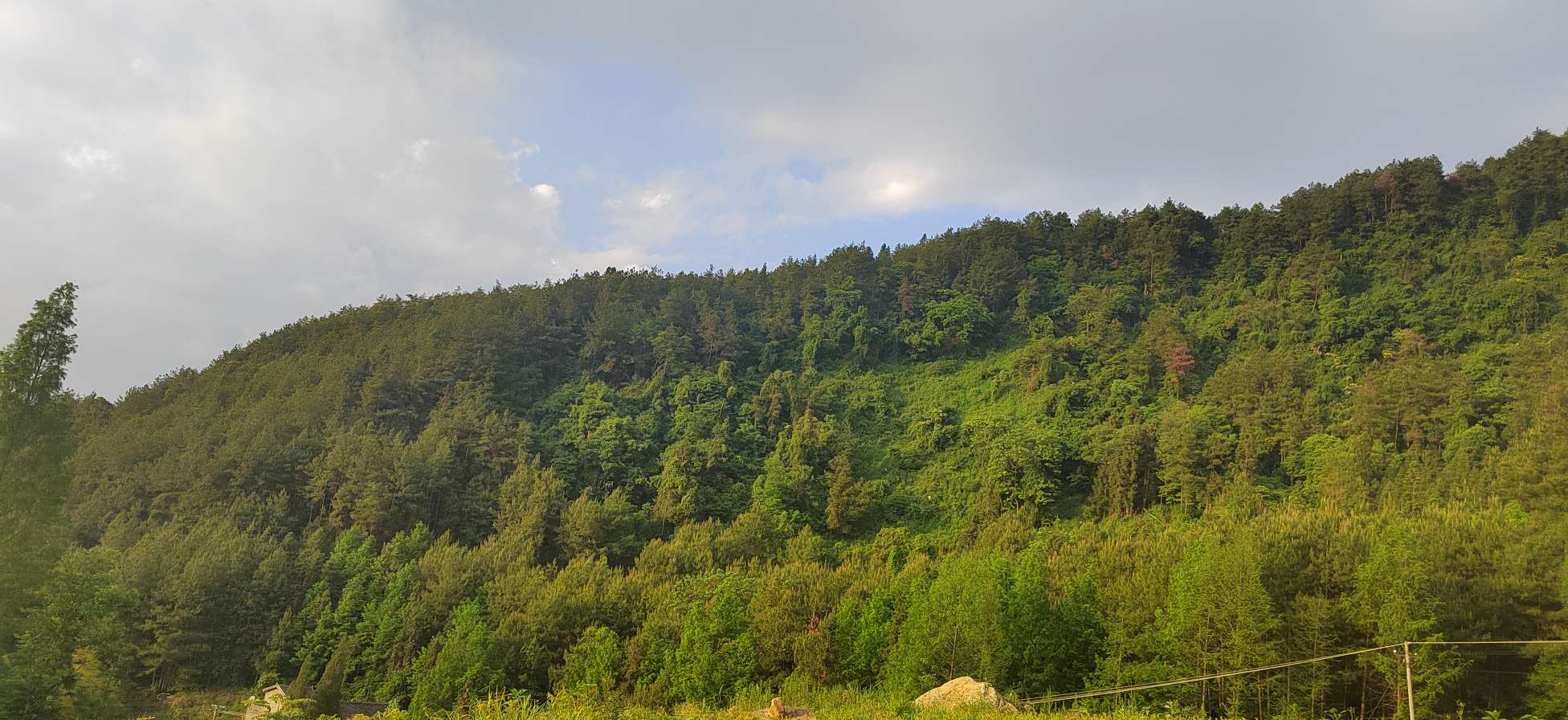 20250510180448front2_0_5669_FgW-8ykbsf7QGLfR3nMzFwYz0bb0.jpg
