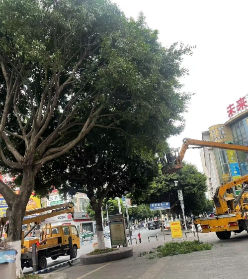 微信截图_20250513154447.png