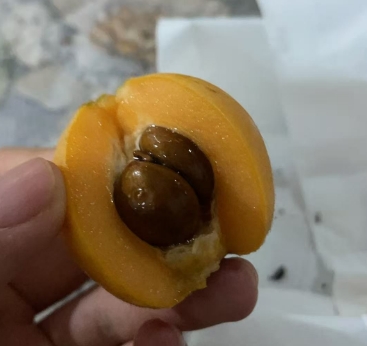 微信截图_20250513164452.png