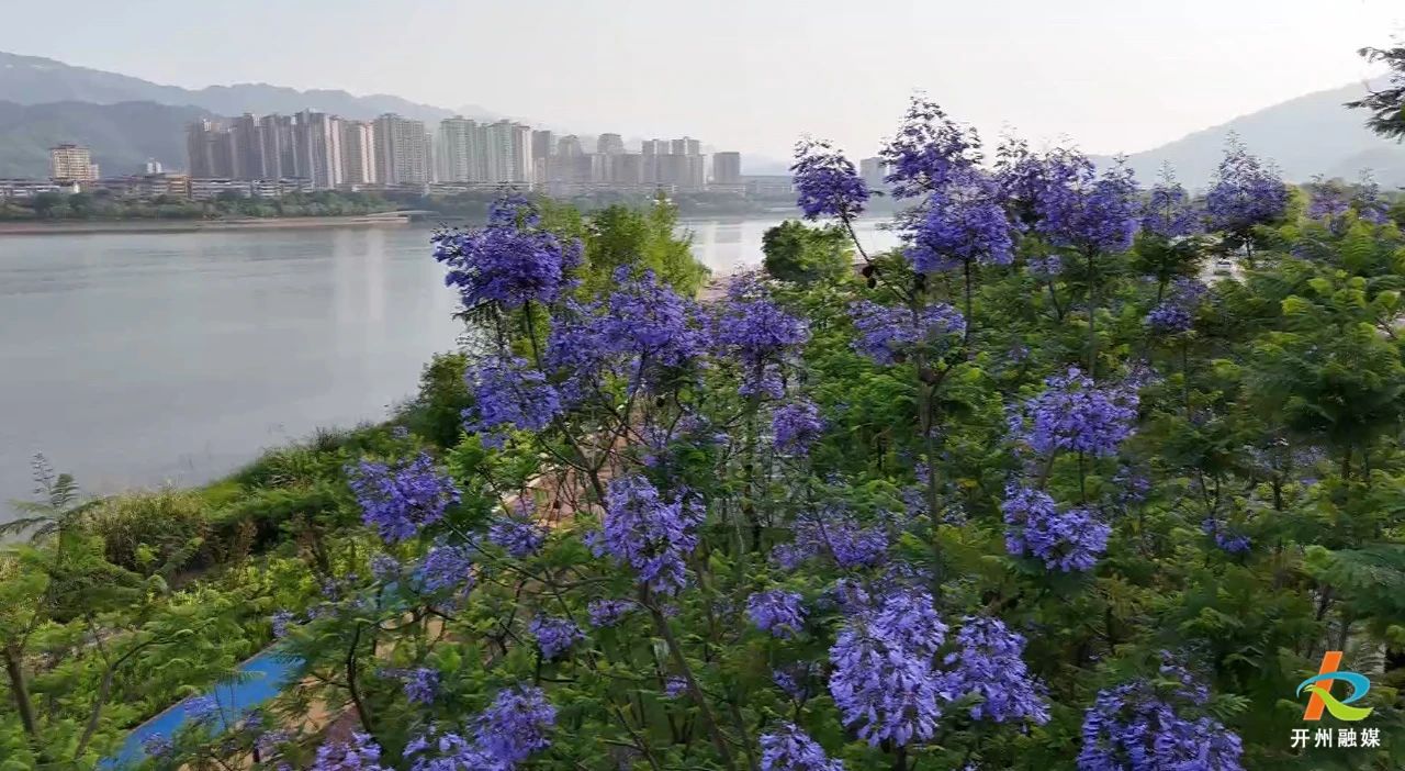 微信图片_20250515082354.jpg