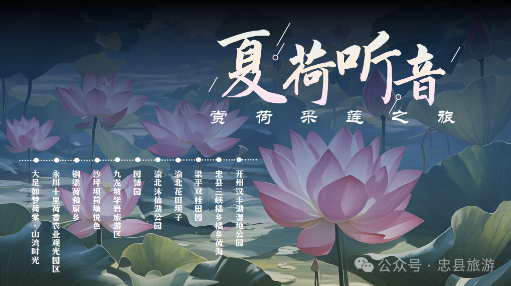微信图片_20250520140540.png