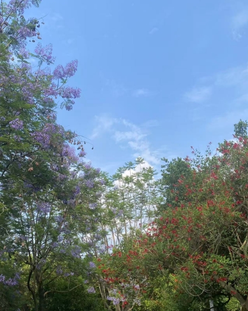微信截图_20250520144451.png