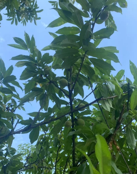 微信截图_20250521111252.png