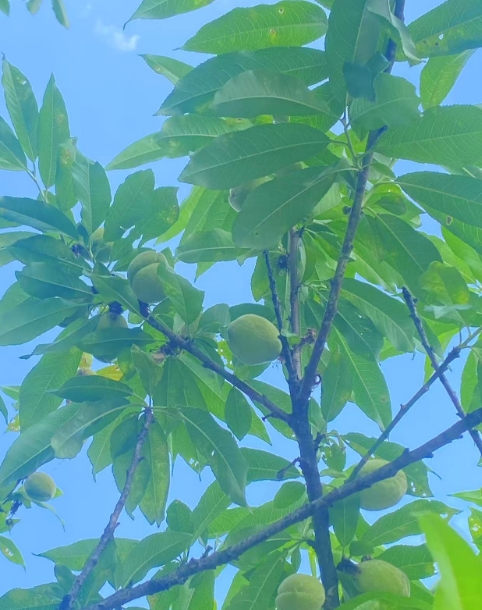 微信截图_20250521111302.png