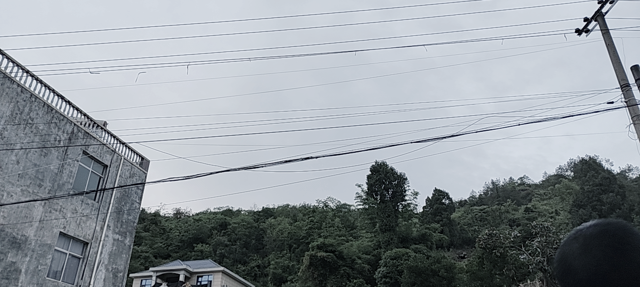 散步