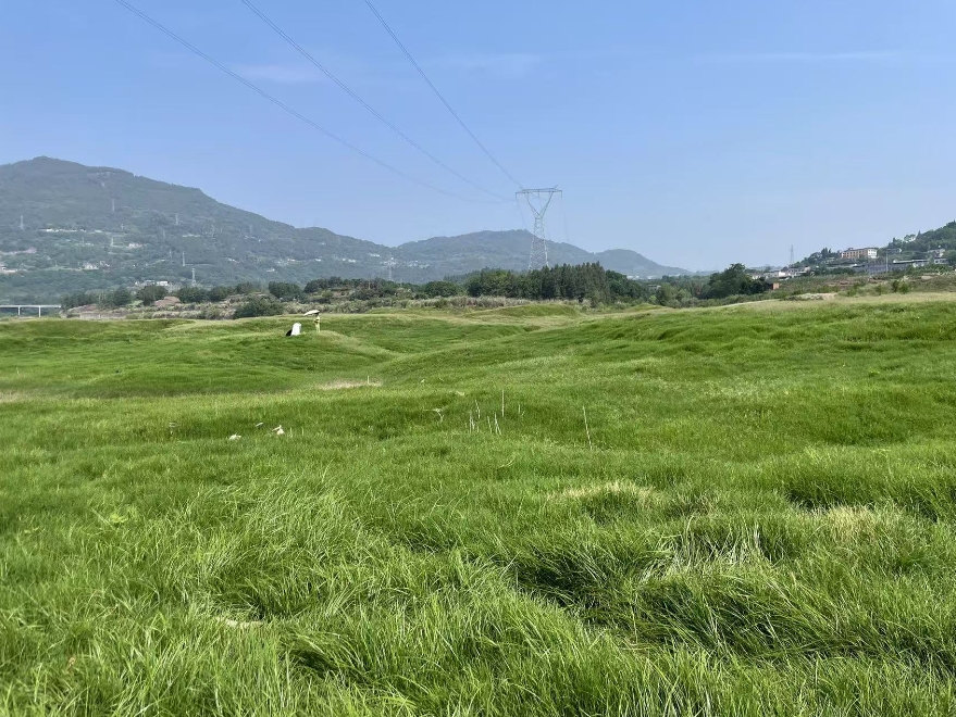 微信截图_20250526150500.png