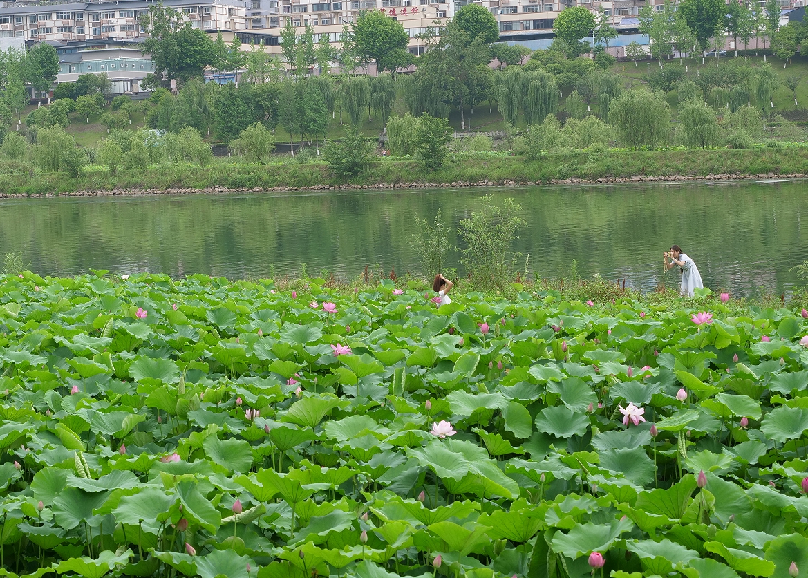 微信截图_20250603162547.png