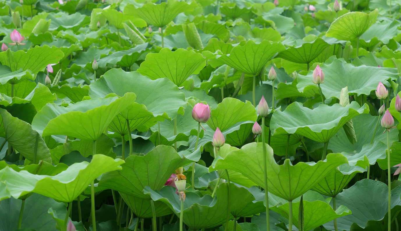 微信截图_20250603162631.png